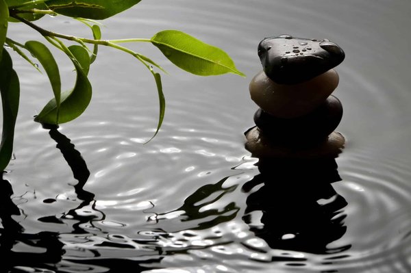 Come utilizzare il feng shui per l'arredo di una sala da pranzo che stimoli la conversazione?