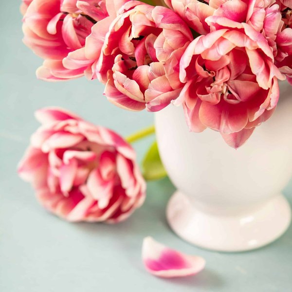 Quali sono le migliori marche di pantaloni chino per un look casual ma raffinato?